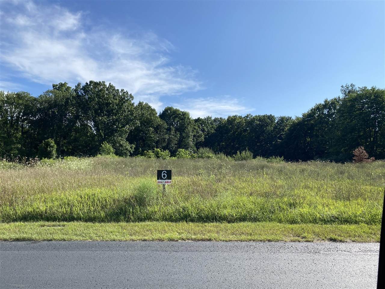 2312 Quarter Horse Drive - Photo 1
