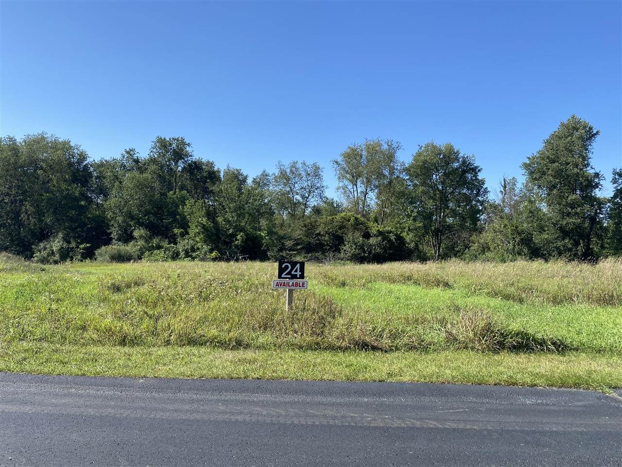 2169 Quarter Horse Drive - Photo 1