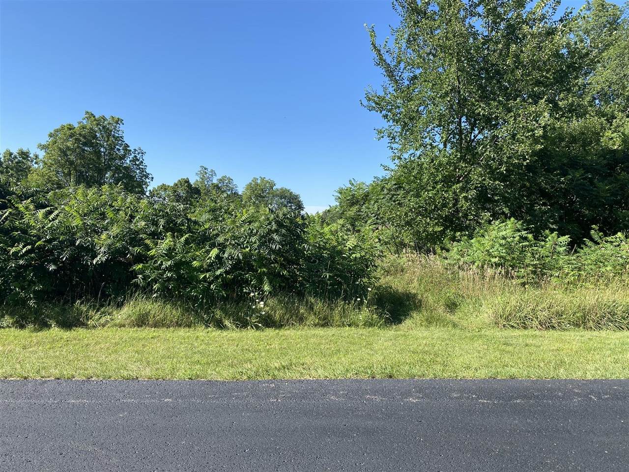 2369 Quarter Horse Drive - Photo 1