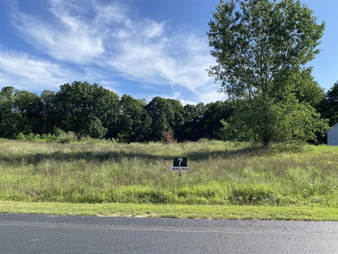 2290 Quarter Horse Drive - Photo 1