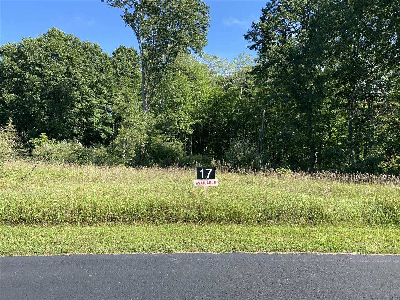 2122 Quarter Horse Drive - Photo 1