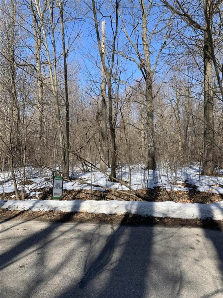 Lot 128 East Shore Drive - Photo 1
