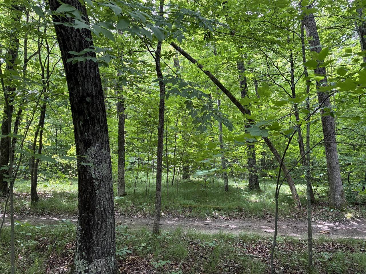 8934 48th - Photo 1