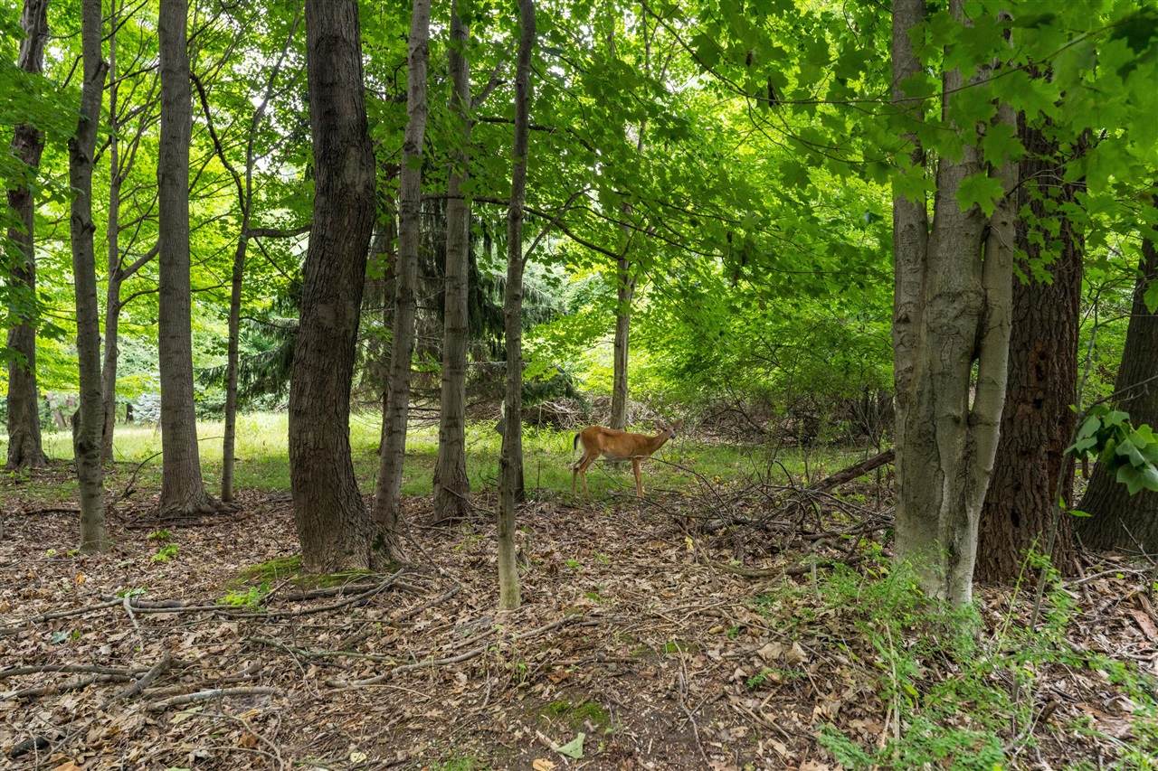 Creekwood 56 - Photo 1
