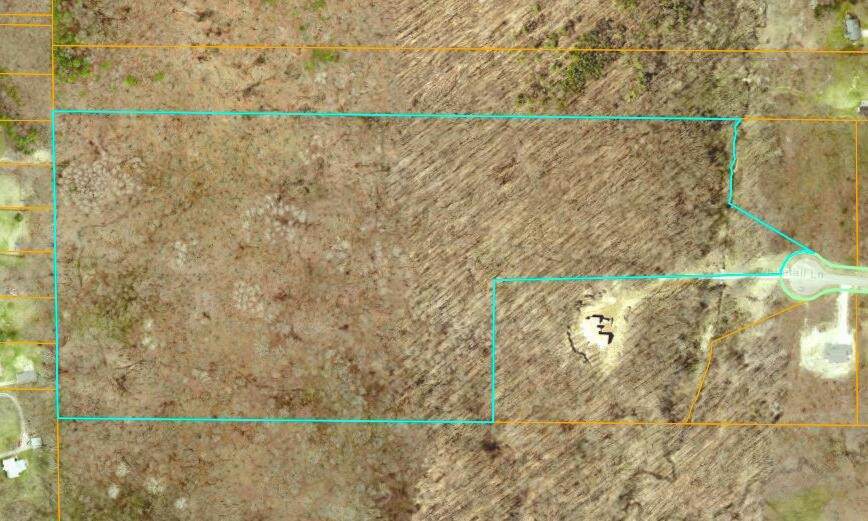 3041 Elk Antler - Photo 1