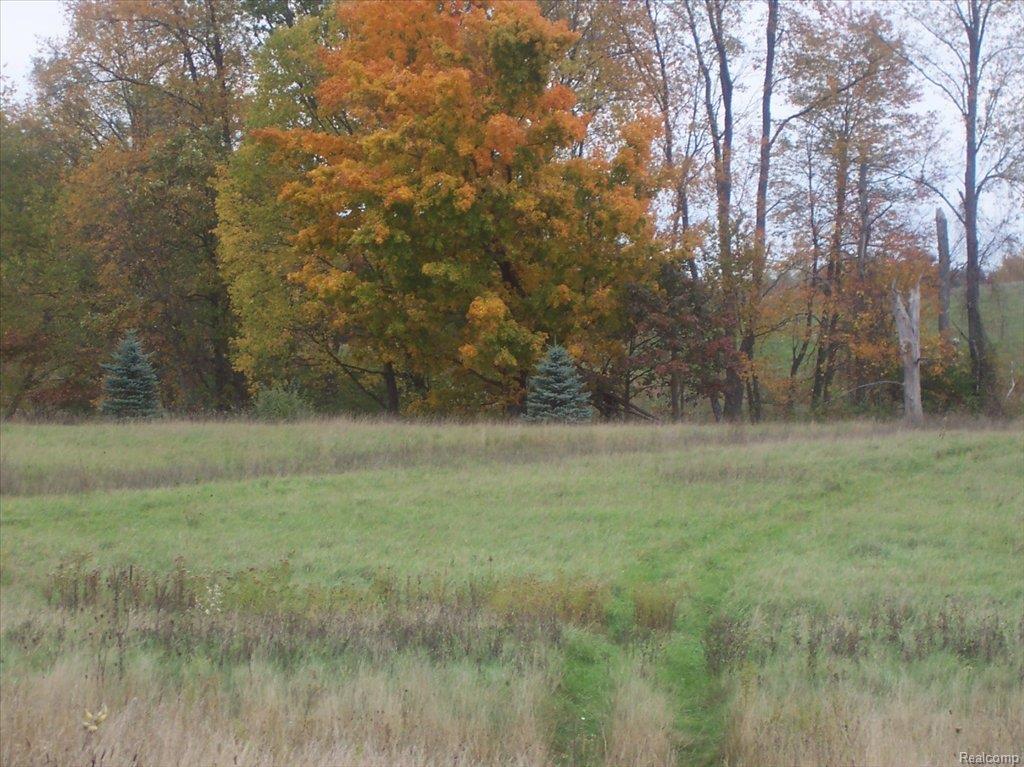 Iosco Ridge - Photo 1