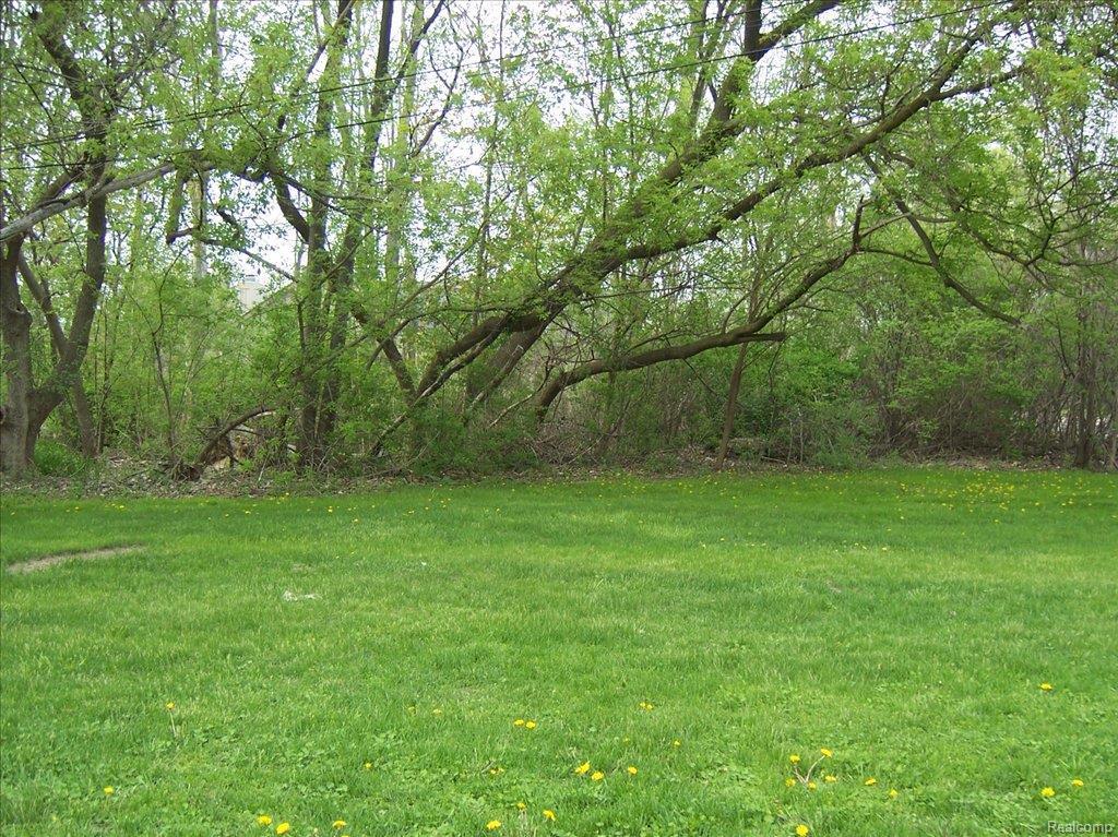 0 Orchard Lake - Photo 1