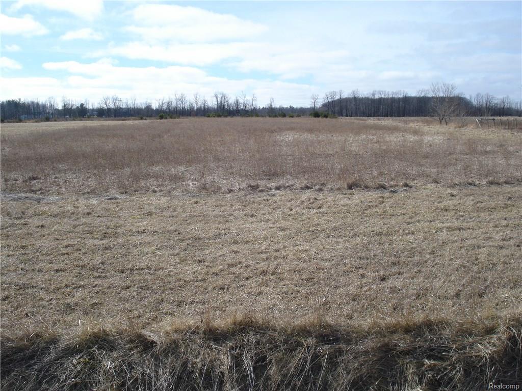 Wildcat Rd - Photo 1