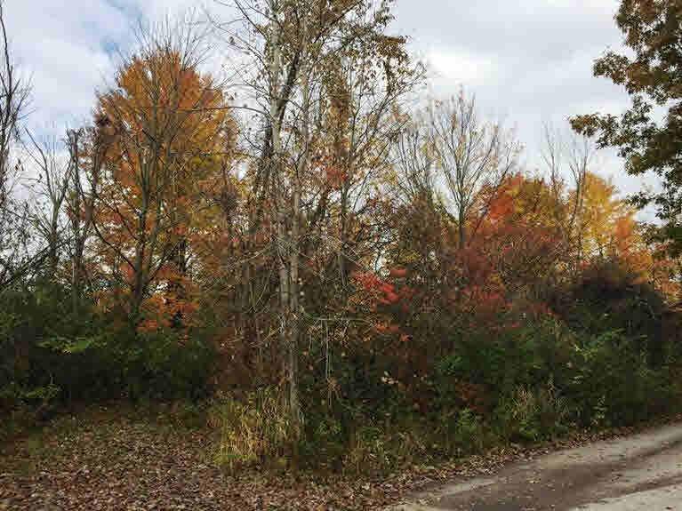 6705 Warren Rd - Photo 1