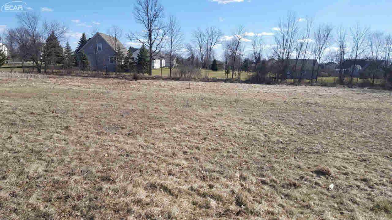 14007 Tupper Lake Drive - Photo 1