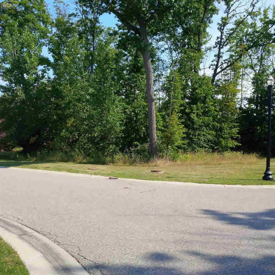 8200 Pine Hollow Trail - Photo 1