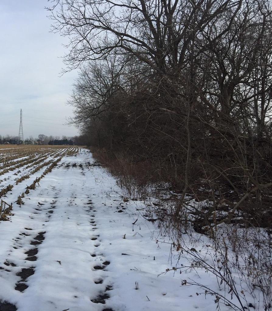 6611 Bunton Rd - Photo 1