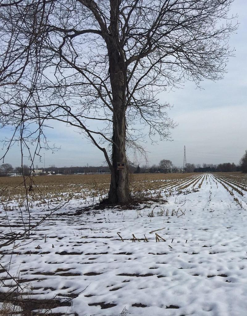 6581 Bunton Rd - Photo 1