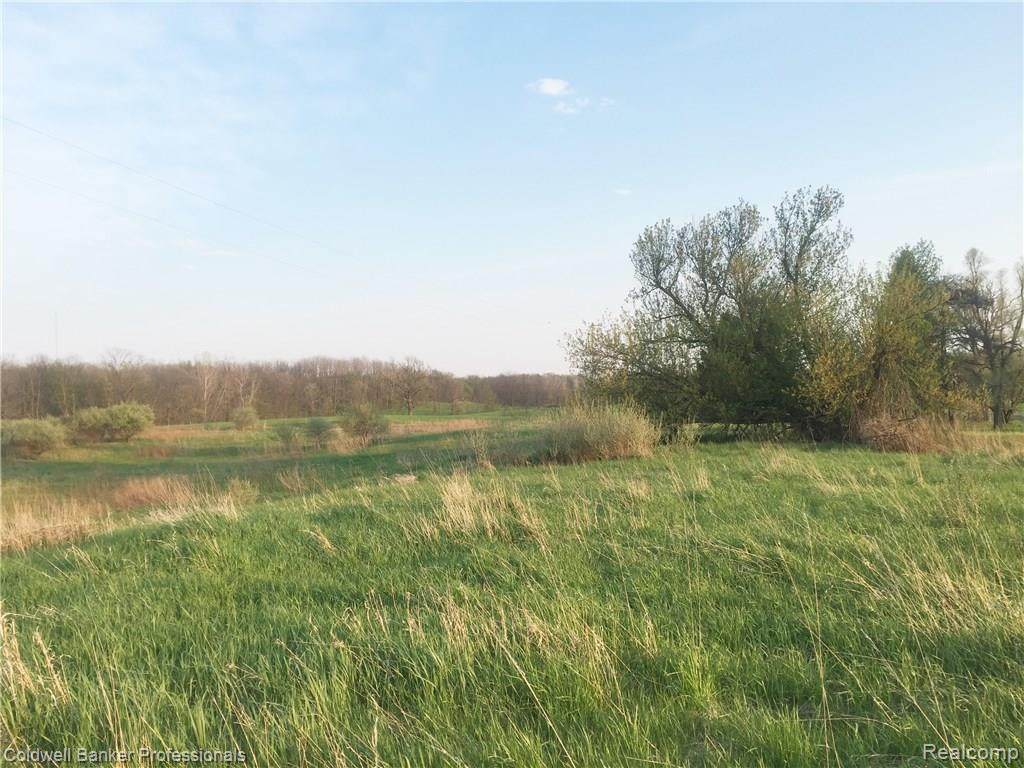 Lot 19 Brookside - Photo 1