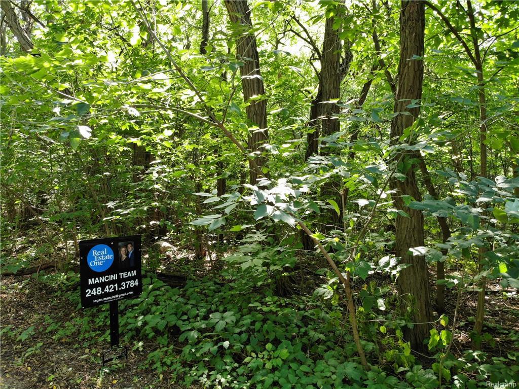 Jossman Groveland Township - Photo 1