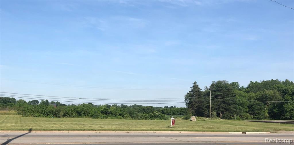 000 Van Dyke & Imlay City Rd - Photo 1