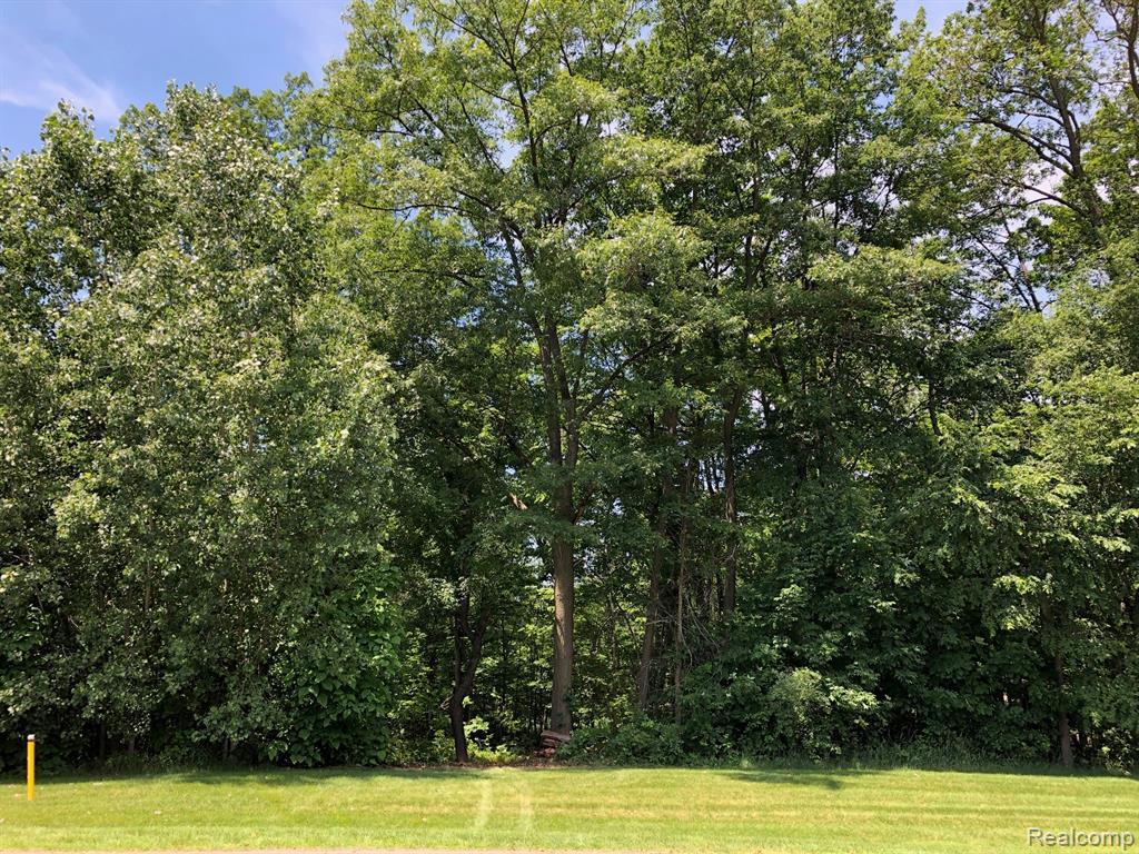 00000 Deer Ridge Trail - Photo 1