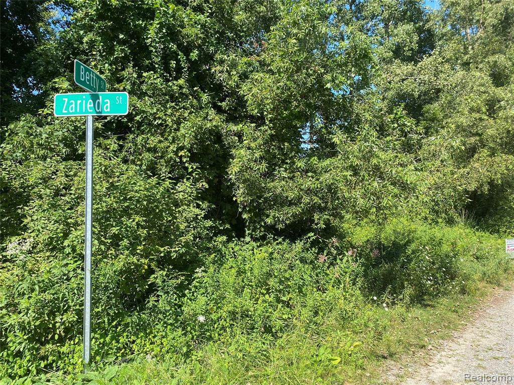 000 Betty Street - Photo 1