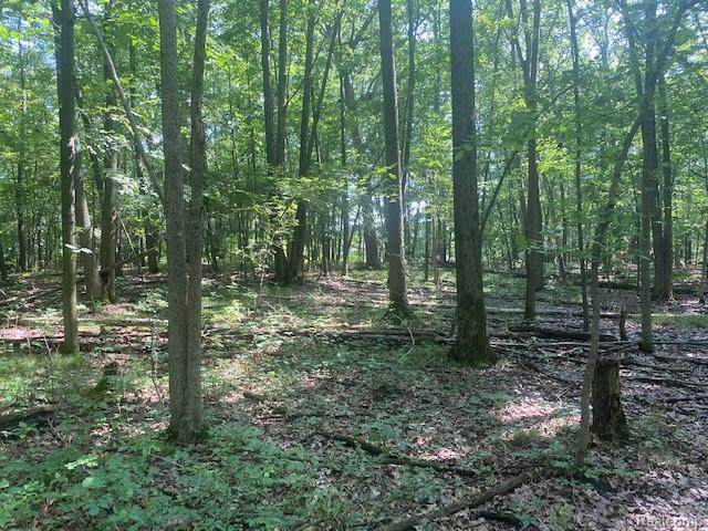 00 Cole Rd - Photo 1