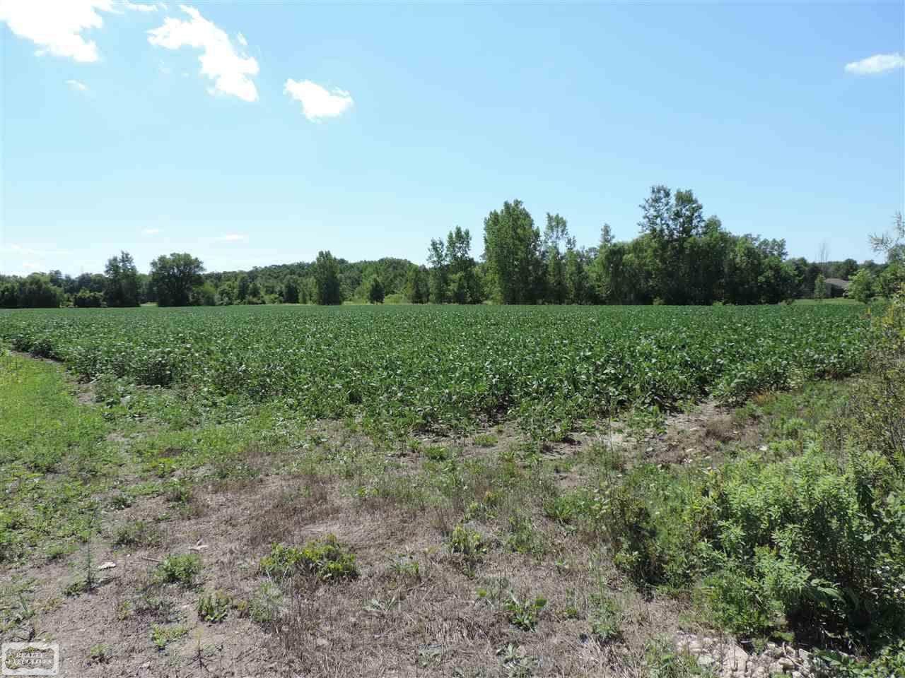 15450 Bordman Road - Photo 1