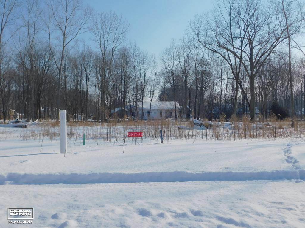 67684 Ashley Avenue - Photo 1