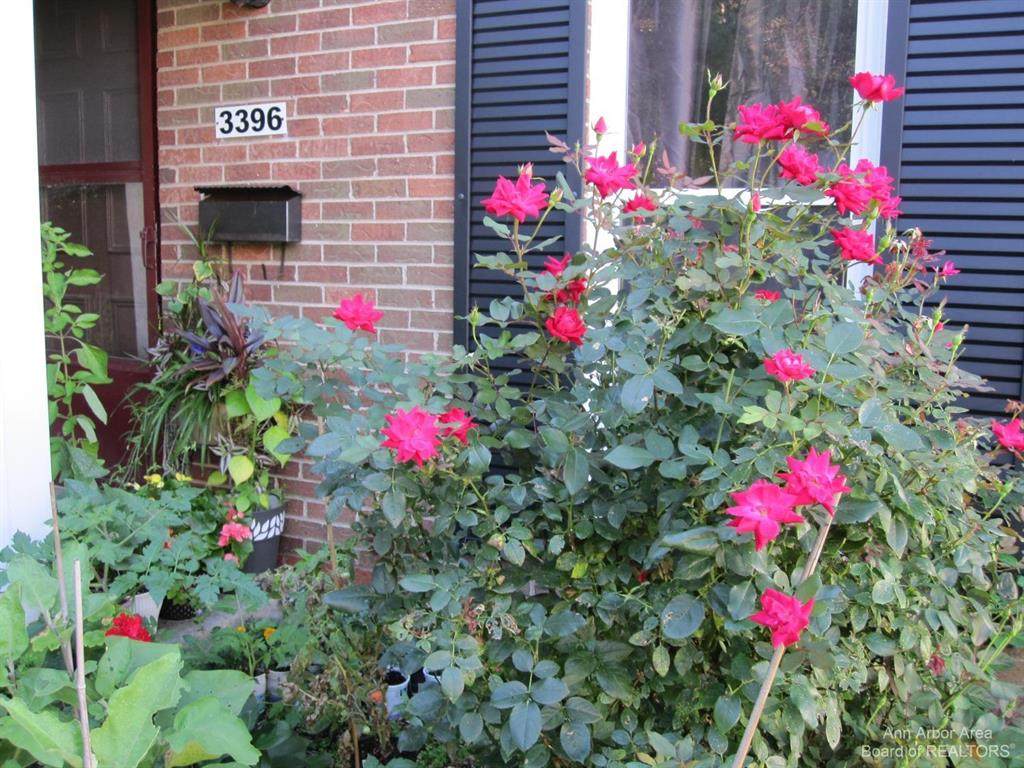 3396 Burbank - Photo 1