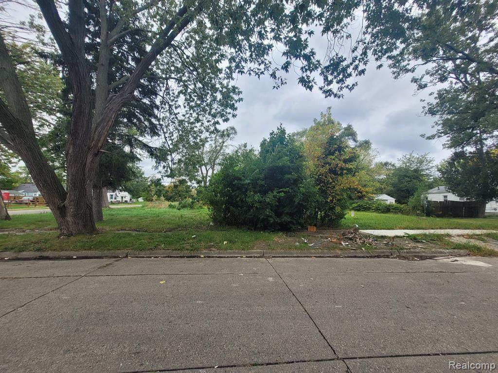 20511 Caldwell - Photo 1