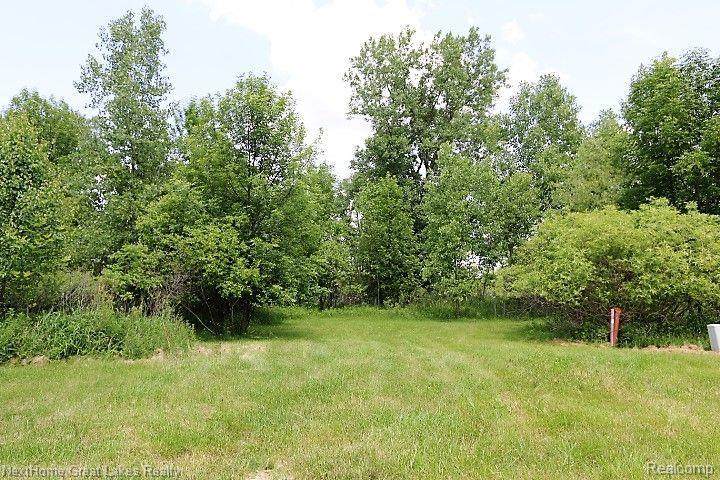 75 Westwood - Photo 1