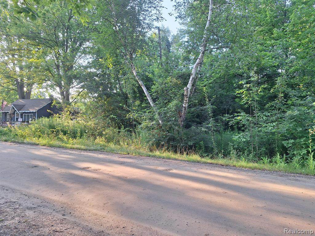 000 Birchwood - Photo 1
