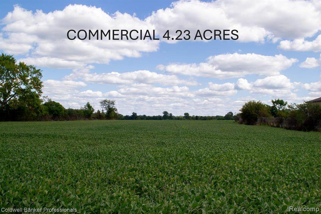 000 Clio Rd. Clio - Photo 1