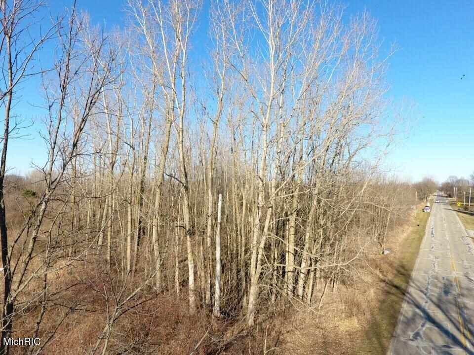 TBD Main Street - Photo 1