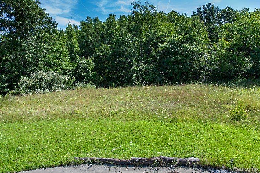 9056 Deerwood Road - Photo 1