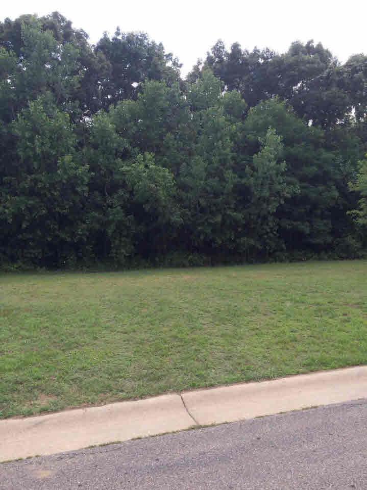 519 Emerald Glen Dr - Photo 1