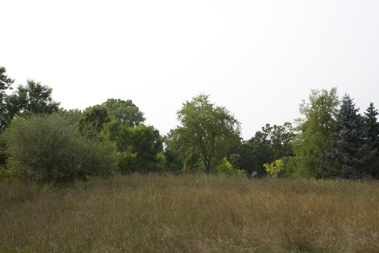 0 Wildflower Rdg - Photo 1