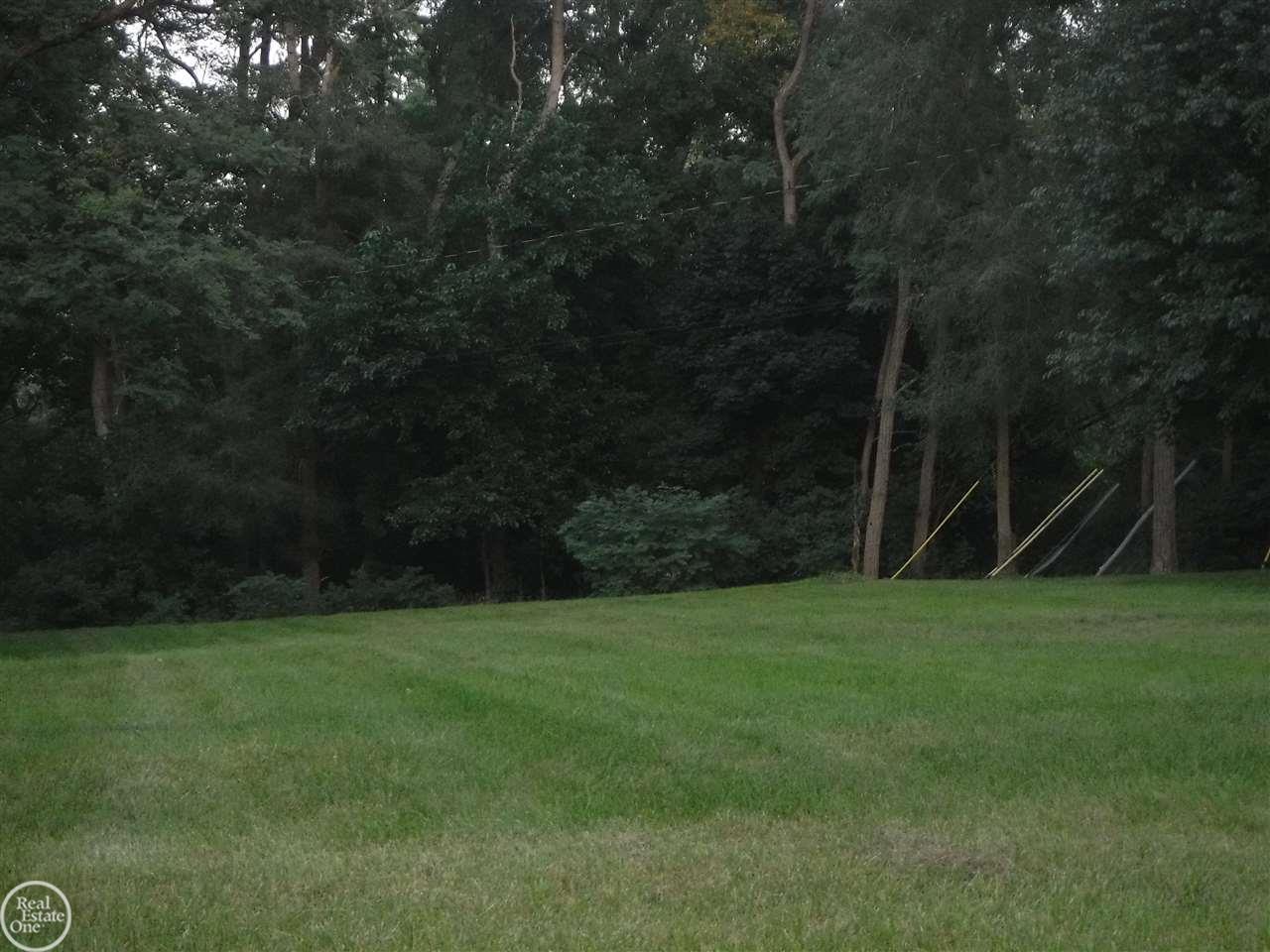 00 Mann Road - Photo 1