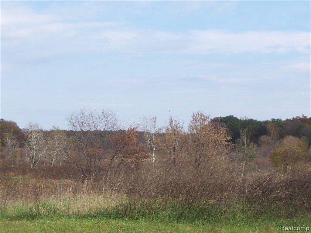 U 14 Iosco Ridge - Photo 1