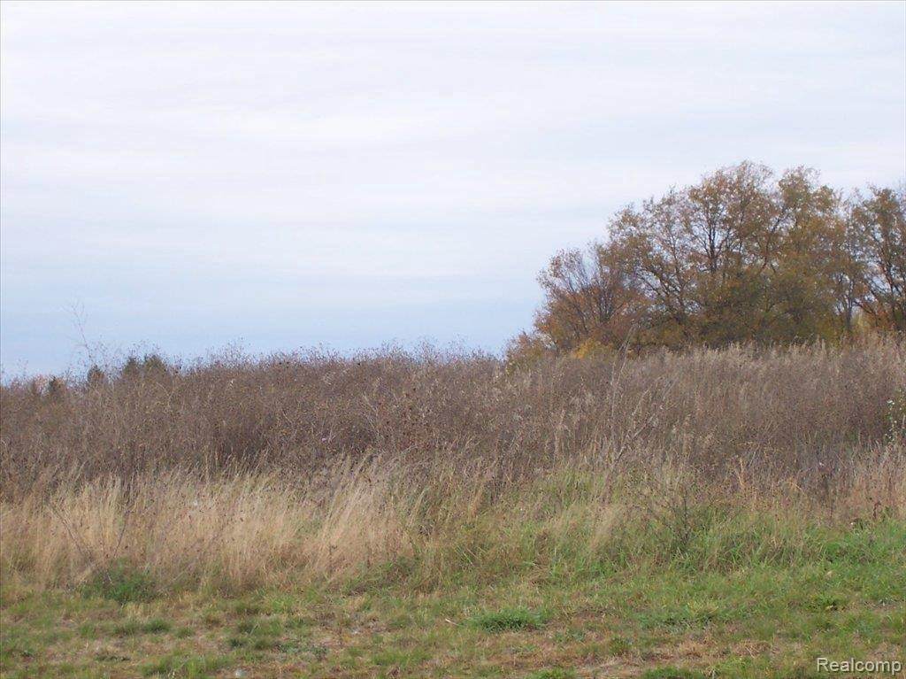 UNIT39 Iosco Ridge - Photo 1