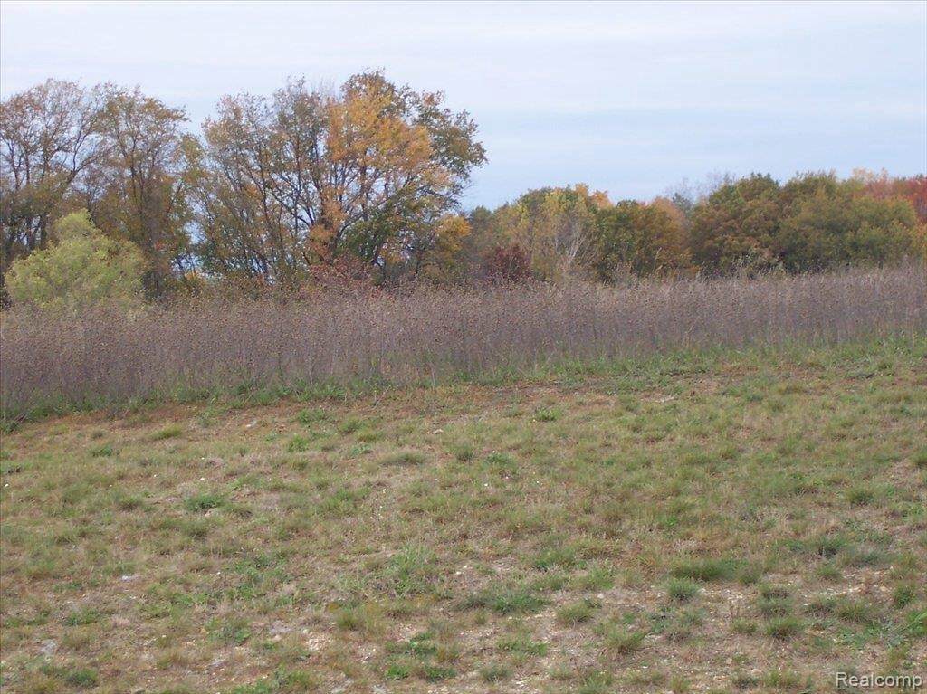 UNIT37 Iosco Ridge - Photo 1