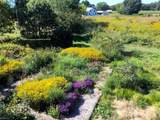 35371 Copes Dr - Photo 32