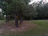 122 Ac Benn's Grant (Off Of) Blvd - Photo 10