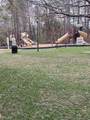 3826 Occoquan River Rch - Photo 23
