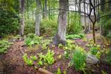 401 Meherrin Rn - Photo 42