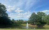 1608 Willow Point Arch - Photo 11