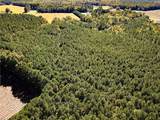 15 Acres Cypress Chapel Rd - Photo 11