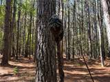 15 Acres Cypress Chapel Rd - Photo 14