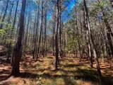15 Acres Cypress Chapel Rd - Photo 17