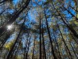 15 Acres Cypress Chapel Rd - Photo 18