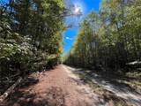 15 Acres Cypress Chapel Rd - Photo 2