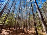 15 Acres Cypress Chapel Rd - Photo 20