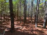 15 Acres Cypress Chapel Rd - Photo 21